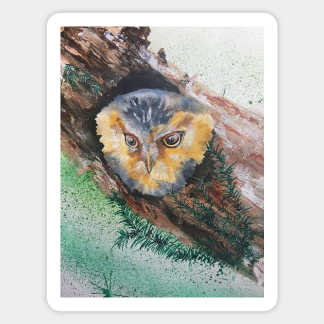 Peeping Owl Sticker by CorinneMatus